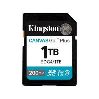 Карта памяти Kingston SDG4/1TB Canvas Go Plus Gen4 C10 UHS-I U3 V30 1TB 