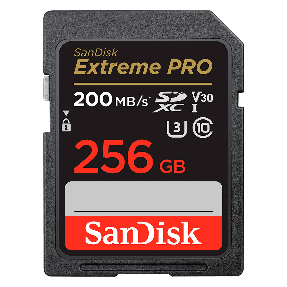 Карта памяти Sandisk SDSDXXD-256G-GN4IN