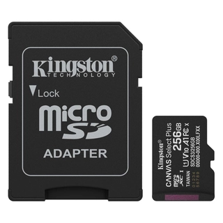 Карта памяти Kingston SDCS3/256GB с адаптером