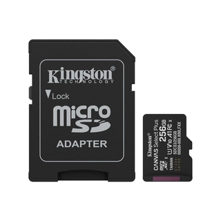 Карта памяти Kingston SDCS3/256GB Canvas Select Plus A1 U1 V10 256GB SDCS3/256GB