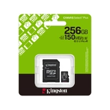 Карта памяти Kingston SDCS3/256GB Canvas Select Plus A1 U1 V10 256GB SDCS3/256GB - фото 5