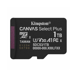 Карта памяти Kingston SDCS3/1TBSP Canvas Select Plus A1 U3 V30 1TB SDCS3/1TBSP