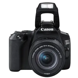 Цифровая зеркальная фотокамера Canon EOS 250D EF-S 18-55 IS STM Kit Black - фото 3