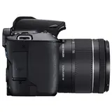 Цифровая зеркальная фотокамера Canon EOS 250D EF-S 18-55 IS STM Kit Black - фото 5