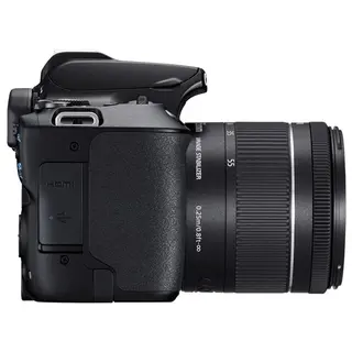 Цифровая зеркальная фотокамера Canon EOS 250D EF-S 18-55 IS STM Kit Black - фото 5