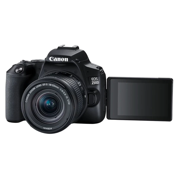 Цифровая зеркальная фотокамера Canon EOS 250D EF-S 18-55 IS STM Kit Black - фото 7