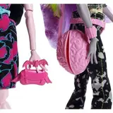 Кукла Monster High Дракулаура и Моаника (DNY33) - фото 2