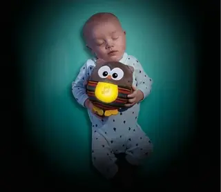 Игрушка Fisher-Price "Светящая Сова" CDN55