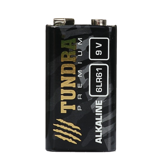 Батарейка алкалиновая TUNDRA, 6LR61, 9V, блистер, 1 шт 
