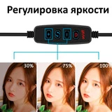 Кольцевая лампа Ring Fill Light LS-260 - фото 8