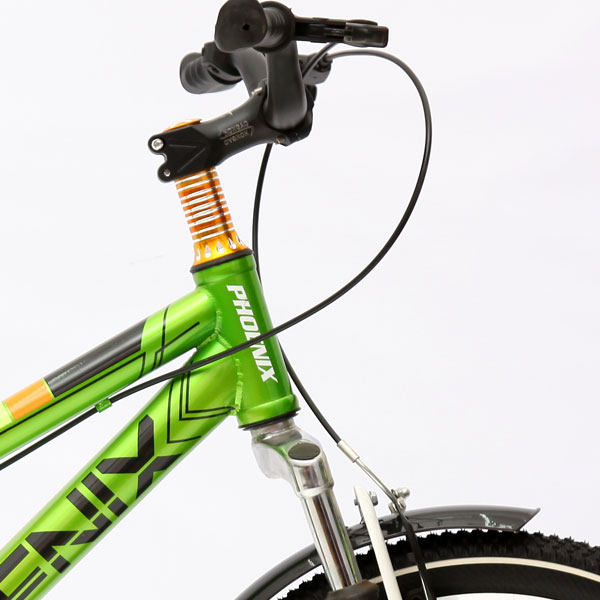 Phoenix жасөспірімдерге арналған велосипеді KZBMXSF12R20SSVBG(MN17S2002JL)