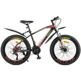 Велосипед подростковый Phoenix Powerfull Roadster TR19S2003JL-1 - фото 5