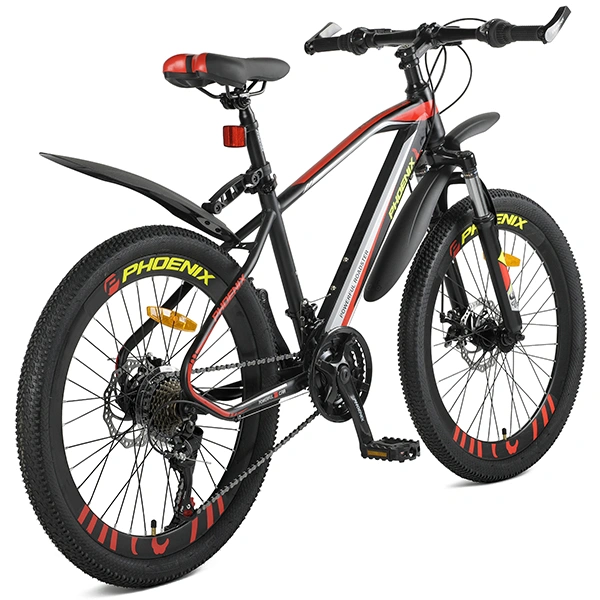 Велосипед подростковый Phoenix Powerfull Roadster TR19S2003JL-1 - фото 3