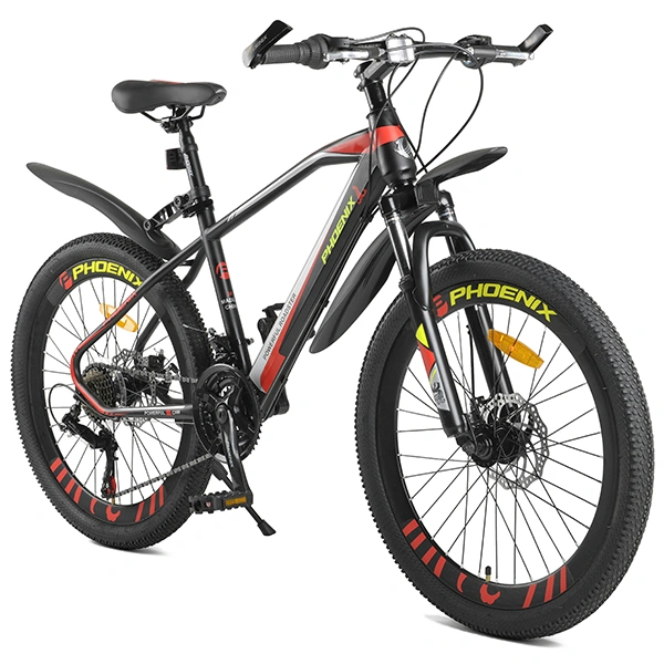 Велосипед подростковый Phoenix Powerfull Roadster TR19S2003JL-1