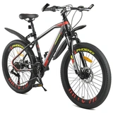 Велосипед подростковый Phoenix Powerfull Roadster TR19S2003JL-1