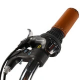 Велосипед городской Phoenix EN-Lady TP-2609-13A - фото 4