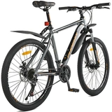 Велосипед Phoenix New XGT (KZ19S2604SPT) - фото 2