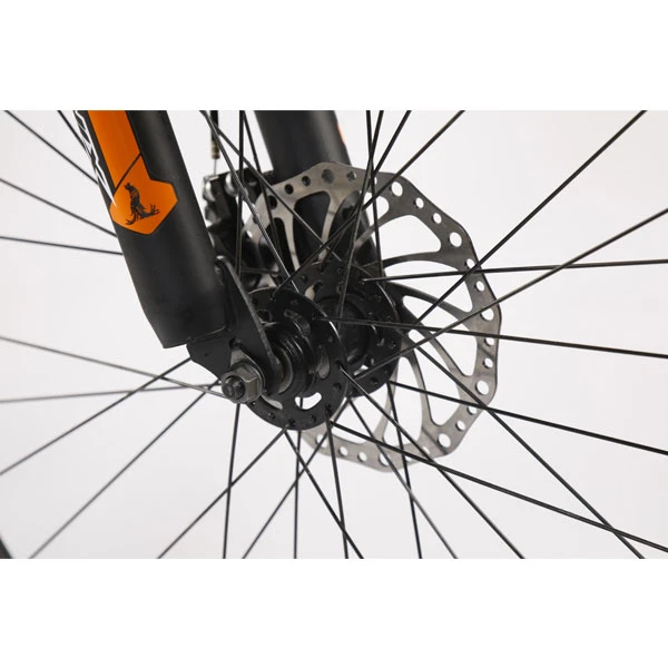 Велосипед Phoenix New XGT (KZ19S2604SPT) - фото 7