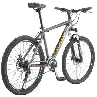 Велосипед Phoenix New XGT (KZ19S2604SPT)