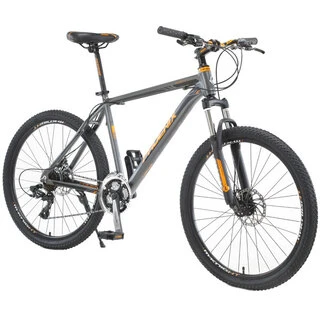 Велосипед Phoenix New XGT (KZ19S2604SPT)