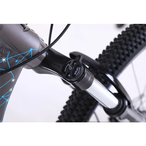 Велосипед горный Phoenix Starry (KZ19S2902TP) - фото 5