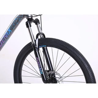 Велосипед горный Phoenix Starry (KZ19S2902TP)