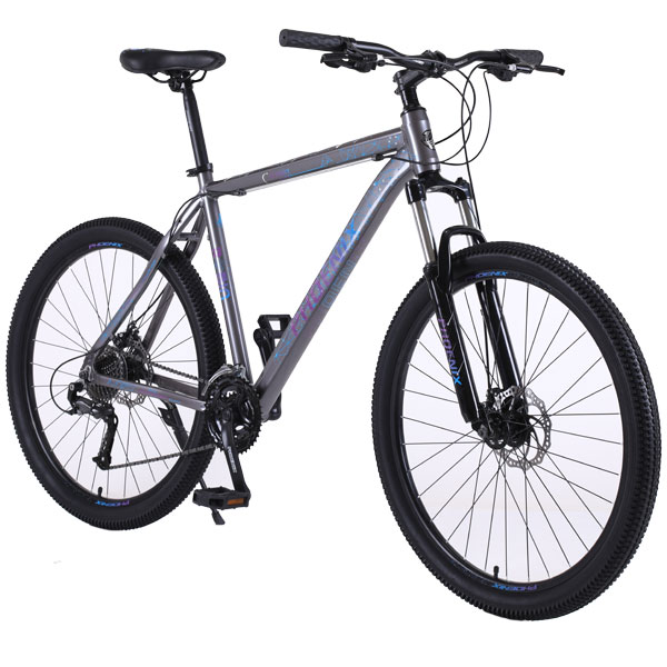 Велосипед горный Phoenix Starry (KZ19S2902TP)