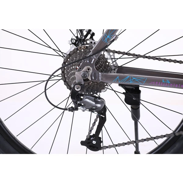 Велосипед горный Phoenix Starry (KZ19S2902TP) - фото 10