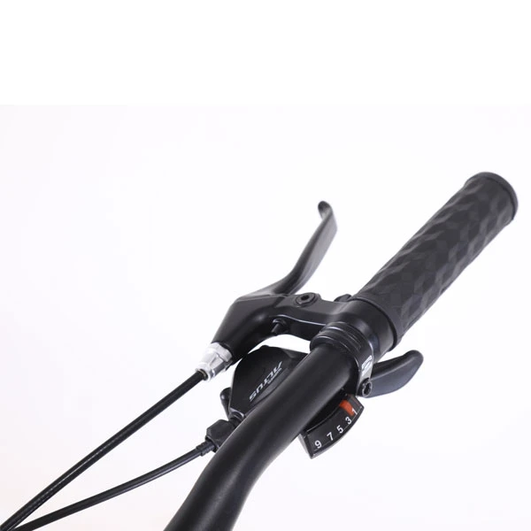 Велосипед горный Phoenix Starry (KZ19S2902TP) - фото 13