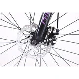 Велосипед горный Phoenix Starry (KZ19S2902TP) - фото 7