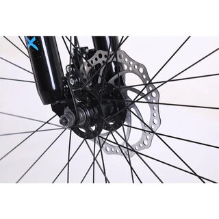 Велосипед горный Phoenix Starry (KZ19S2902TP)