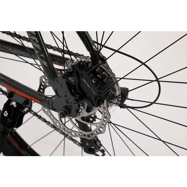 Велосипед Phoenix Magic 4.0 (KZ19S2605SPT) - фото 9