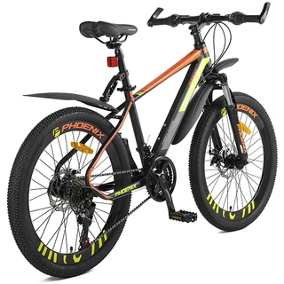 Подростковый велосипед Phoenix Powerfull Roadster TR19S2003JL-2