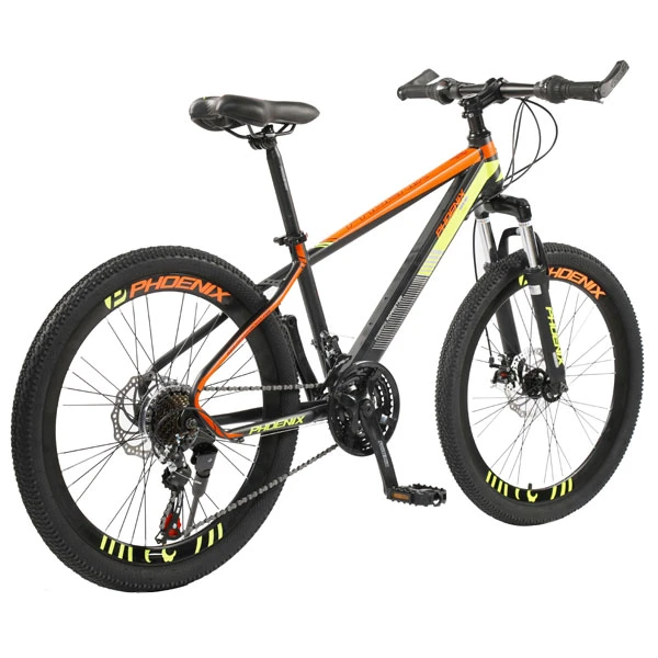 Подростковый велосипед Phoenix Powerfull Roadster TR19S2003JL-2 - фото 6
