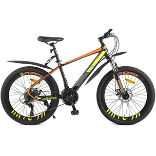 Подростковый велосипед Phoenix Powerfull Roadster TR19S2003JL-2