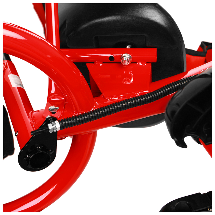 Велосипед трёхколёсный Micio Classic 2019, колёса EVA 10"/8", цвет красный 