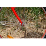 Phoenix қалалық велосипеді EN-Lady қызыл + себет KZLBSF18R26S7SHVBM - фото 26