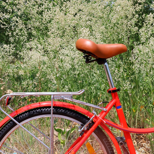 Phoenix қалалық велосипеді EN-Lady қызыл + себет KZLBSF18R26S7SHVBM - фото 23