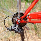 Phoenix қалалық велосипеді En-Lady қызыл + себет - фото 21