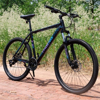 Велосипед горный Phoenix Starry Black