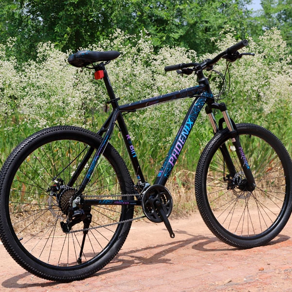 Велосипед горный Phoenix Starry Black - фото 4