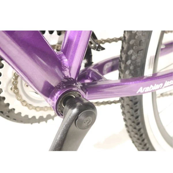 Велосипед горный Phoenix Violet - фото 11