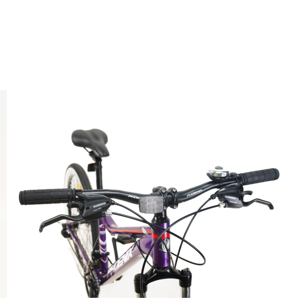 Phoenix тау велосипеді Violet
