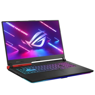 Ноутбук Asus ROG Strix G17 G713 R7165SGN (90NR05B2-M00360)