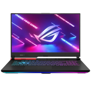 Ноутбук Asus ROG Strix G17 G713 R7165SGN (90NR05B2-M00360)