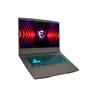 Ноутбук MSI Thin 15 B13VE Core i5-13420H 16GB / SSD 512GB / GeForce RTX 4050 6GB / DOS / 9S7-16R831-2048