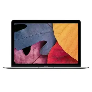 Apple ноутбугі MacBook 12 дюйм (MLH72) Space Gray