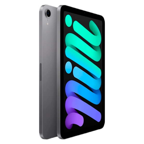 Планшет Apple iPad mini 8/128GB Wi-Fi Space Grey (MXN63QA/A) - фото 4