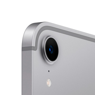 Планшет Apple iPad mini 8/256GB Wi-Fi + Cellular Space Grey (MXPT3QA/A)