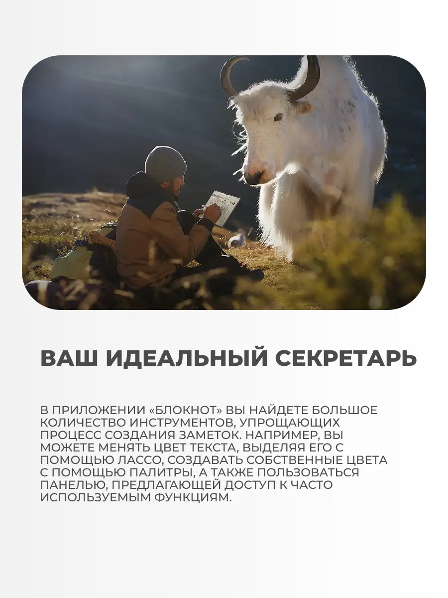 Планшетный компьютер Huawei MatePad Pro WEB-W09 12GB RAM 256GB ROM Black 53014EXP - фото 8